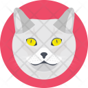 Cat Feline Face Icon