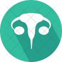 Female Reproductive System Icon
