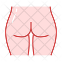 Female Butt Anatomy Butt Icon
