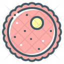 Female Egg Ovum Cell Icon
