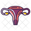 Female Reproductive Icon
