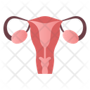 Female Reproductive Organ Icon