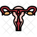 Female Reproductive System Female Reproductive Reproductive System Icon