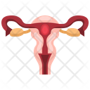 Female Reproductive System Female Reproductive Reproductive System Icon