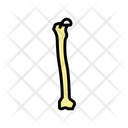 Femur Bone Icon