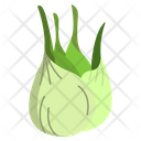 Fennel Herbal Spices Icon