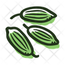Fennel seeds Icon