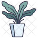 Fern Pot Icon