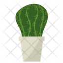 Ferocactus Potted Plant Icon
