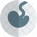 Fetus Icon