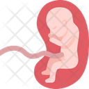 Fetus Icon