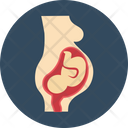Fetus Baby Fetus Unborn Baby Icon