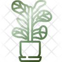 Fiddle Leaf Fig Icon