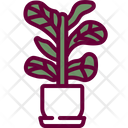 Fiddle Leaf Fig Icon