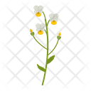 Wildflowers Flowers Plants Icon