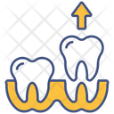 Fillings  Icon
