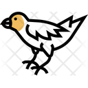 Finch Bird Avian Icon