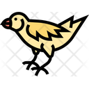 Finch Icon