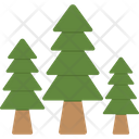 Evergreen Trees Fir Trees Forest Icon
