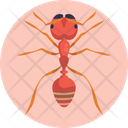 Fire Ant Ant Insect Icon