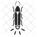 Bug Firefly Glow Icon
