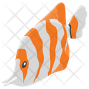 Fish Sea Creature Sea Animal Icon
