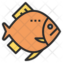 Fish Protein Ketogenic Icon