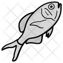 Fish Tropical Fish Aquatic Fish Icon