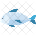 Shark Animal Fish Icon