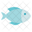 Biology Fish Animal Icon