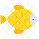 Fish  Icon