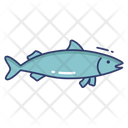 Fish Sealife Seafood Icon