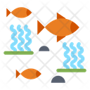 Fish Fishing River Icon