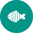 Clown Fish Icon