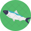 Freshwater Fish Pet Icon