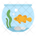Fish Water Bowl Icon