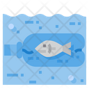 Fish Stuck In Bottle Icon