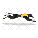 Five Number Dog  Icon