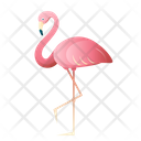 Flamingo Pink Bird Bird Icon