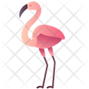 Flamingo Poultry Zoo Icon