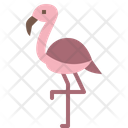 Flamingo Animal Wild Icon