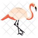 Phoenicopterus Flamingo Specie Icon