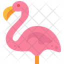 Flamingo Bird Animal Icon