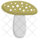 Mushroom Toadstool Edible Mushroom Icon