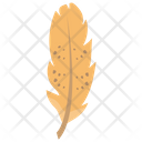 Flight Feather Feather Plumage Icon