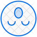 Flip  Icon