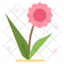 Flora Floral Flower Icon