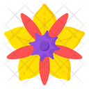 Floral Design Icon