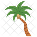 Florida Thatch Palm Icon
