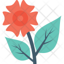 Flower Blooming Floral Icon
